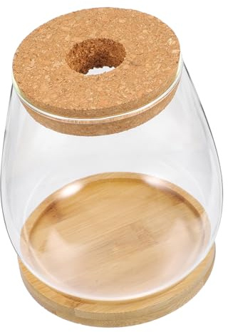 Gogogmee Vase à Succulentes en Verre Transparent pour Bureau Et Décoration Intérieure Grand Format Support Bambou 10 Cm Vase Hydroponique Original pour Plantes D’intérieur