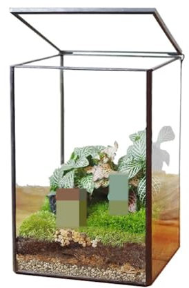 AVCULT Maceta De Terrario De Vidrio Geométrico Negro con Tapa,Caja De Vidrio Hecha A Mano Negra para Suculentas Plantas De Cactus, Decoración Moderna De Mesa