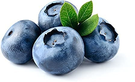 Fruit Plants, Blueberry 'Sunshine Blue', 1 x Full Plant in a 2 Litre Pot, Blueberry Plants, Garden Fruit, Bluberries, Garden Ready, Premium Quality Blueberries