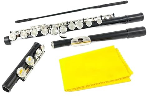flöte Flöte, 16 Geschlossene Löcher, C-Tasten, Instrument, Kupfernickel, Vernickelte Schwarze Flöte Mit E-Taste