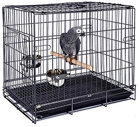 Durable Easy Portable Collapsible Metal Travel or Veterinary Collapsable Parrot Bird Carrier Bite-Proof Easy Clean Carrier Cage with Stainless Steel Feeder Bowls Natural Wooden Perch