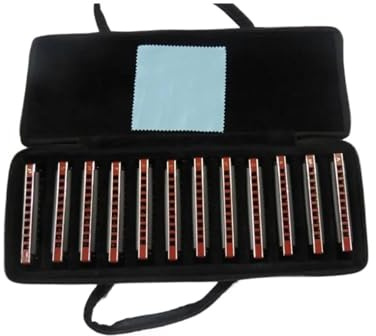 Mundharmonika 12 Tasten Set Musik Metall Mundharmonika Diatonische Schwarze Abdeckung Für Anfänger Spieler Geschenk
