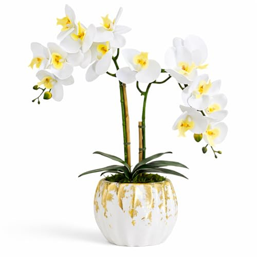 BelaLusa® Orchideen Künstlich Wie Echt Weiß 50 cm – Elegante künstliche orchideen im Topf aus Keramik, Pflegeleichte kunstorchidee wie echt für Wohnzimmer, Büro & Fensterbank Deko (Weiß-Gold)