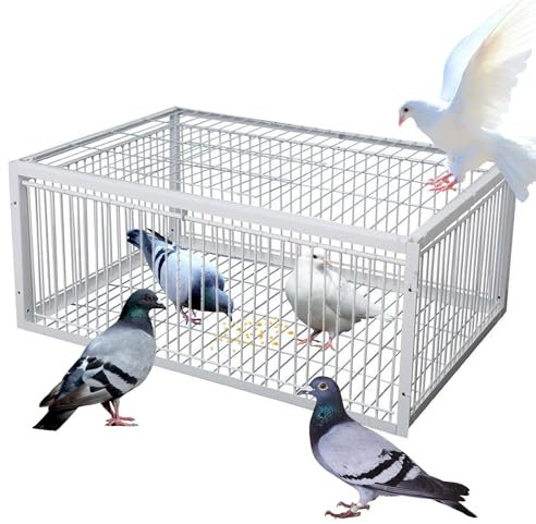 ASQUAR Taubenfalle mit Ausbruchsicherem Design, Automatische Vogelfangfalle mit Einweg-Eingang, Tragbarer und Einfach zu Montierender Vogelfangkäfig für Bauernhöfe, Wälder und Dächer(Weiß,70x40x26CM)
