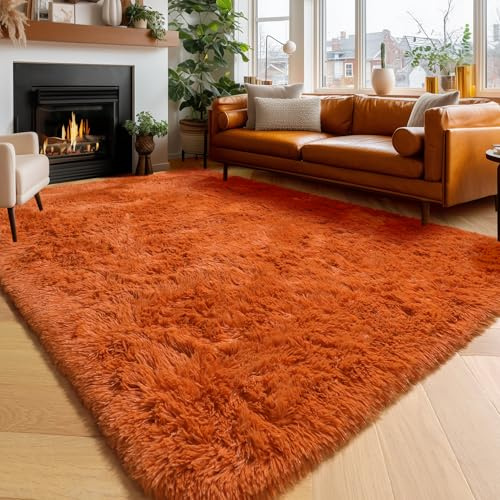 Amdrebio Burnt Orange Fall Fuzzy Shag Area Rug 5x7 for Bedroom Living Room