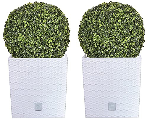 WELL HOME MOBILIARIO & DECORACIÓN Set di 2 fiori+2 piante bosso bianco