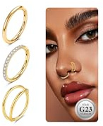 ESHIONER G23 Titan Nasenpiercing Ring Nasenring Helix Piercing Conch Ohr Septum Piercing Nostril Tragus Segmentring Daith Clicker lippenpiercing Gold Silber 18G 16G 10MM/8MM CZ Hypoallergen Nose Ringe