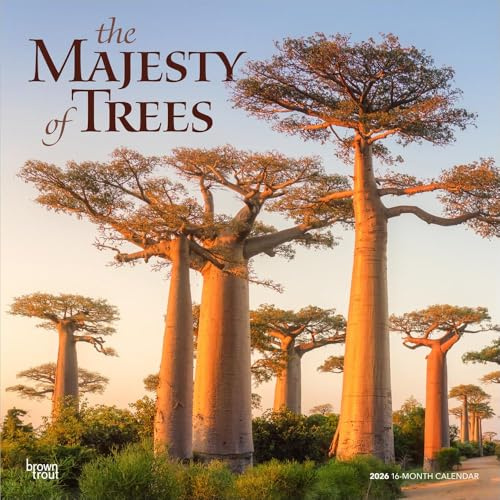 The Majesty of Trees - Die Erhabenheit der Bäume 2026 - 16-Monatskalender: Original BrownTrout-Kalender [Mehrsprachig] [Kalender]