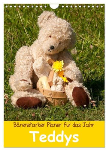 Bärenstarker Planer für das Jahr – Teddys (Wandkalender 2026 DIN A4 hoch), CALVENDO Monatskalender: Liebenswerte Teddybären, die das Herz erfreuen (CALVENDO Hobbys)
