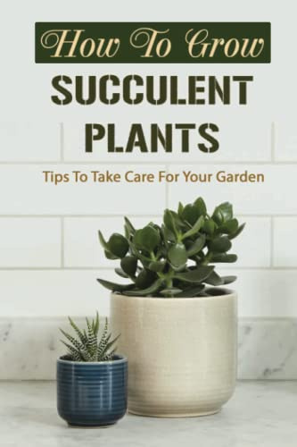 How To Grow Succulent Plants: Tips To Take Care For Your Garden