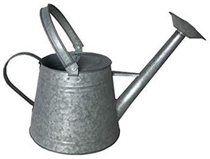 Pkfinrd Rieging latas Hierro Gran Capacidad Vieja regadera for Plantas de Agua y Flores de regadera Interior. (Color : Old Zinc, Size : 43x22.5x18.5cm)