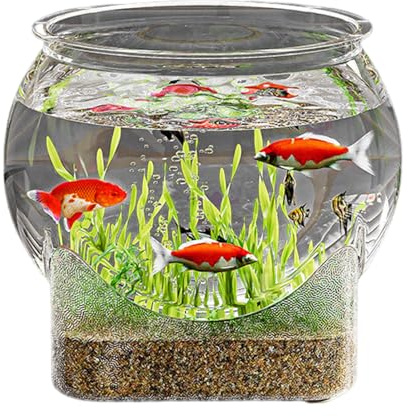 Ciotola per pesci rotonda, acquario rotondo - Acquario trasparente Betta Fish Tank |Acquario da tavolo per il posto di lavoro domestico, piccoli acquari, centrotavola per vasi di fiori