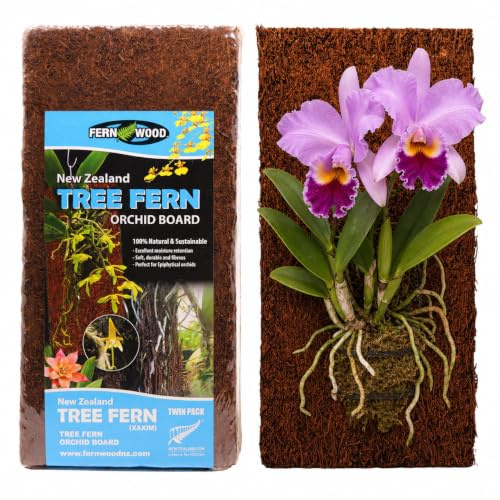 Fernwood Tree Fern Orchid Mounting Board- Soft, Durable, and Fibrous | Natural and Sustainable | for Orchids and Other Epiphytes | 2 Pack (Regular 12x6x1)