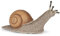 Papo Caracol (50262) Wild Animal Kingdom Figura, Estampado, Color, marrón, Small