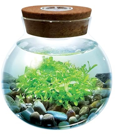 WaterPlants- Create Your Own Lush and Soothing Aquascape Terrarium Starter Kit, Indoor Plant Glass Globe Terrariums with Powerful 3 LED Light and Complete Supplies, Just Add Water!