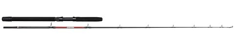 PENN Warfare Canna da traina leggera | Impugnatura ergonomica in EVA | Portamulinello resistente e gimbal in ABS durevole | Pesca in mare per tonni, sgombri e ricciole | Moderata, 1,70 m, 30-50 lb