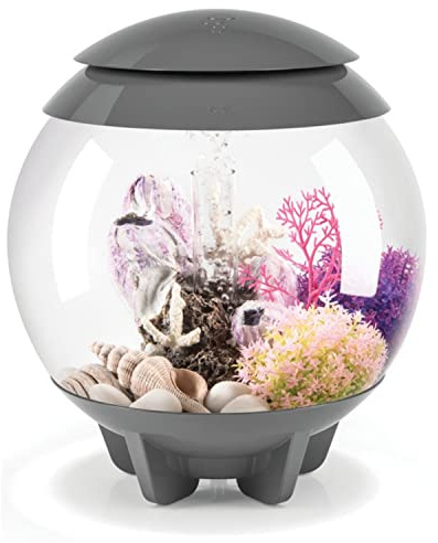 biOrb Halo 15 Acrylic 4-Gallon Aquarium with Multi-Color Remote-Controlled LED Lights Modern Compact Tank for Tabletop or Desktop Display, Gray