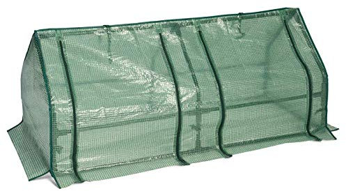 IDMarket - Serre châssis de jardin spéciale forçage L.120 CM verte