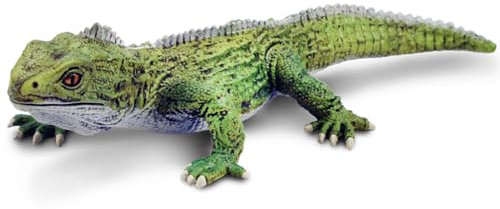 Safari Ltd. Spielzeugfigur von Tuatara, Sammlung unglaublicher Kreaturen, ungiftig und BPA-frei, Spielzeugtiere, geeignet für Kinder ab 3 Jahren, grün