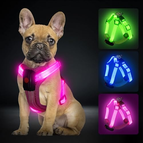 PZRLit Hundegeschirr Leuchtend Aufladbar für kleine Hunde, Leuchtgeschirr für S Hunde, Reflektierend LED Geschirr für Welpen für sicheres Gehen in der Nacht-Rosa