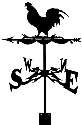 Wetterfahne aus Metall mit Tierornament, Gartenpfahl, Wetterfahne, Windrichtungsanzeiger, Wetterhahn, professionelles Messwerkzeug für den Außenbereich, Garten, Hof, Dach (Vogel (Vogel)