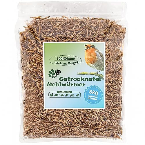 Getrocknete Mehlwürmer 32L (5kg) – Premium Insektensnack für Wildvögel, Igel, Fische & Reptilien – Hochwertiges Ganzjahresfutter mit hohem Proteingehalt für draußen – Blumixx Jan-Pet Premium