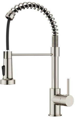 FORIOUS Grifo Cocina Extraible, Grifos Cocina Fregadero, Acero inoxidable Monomando Torneira Cozinha con Giro 360°y Rociador de Doble Función