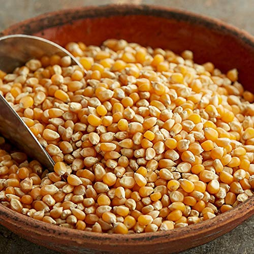 Popping Corn 10kg - Popcorn Kernels For Popcorn Machine Maker or Oil Pan Popped – Add your Flavouring/Seasoning – Perfect Cinema Style Movie Night Homemade Pop Corn - PURIMA - 10 kg BULK Packaging