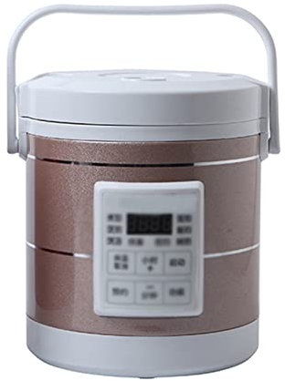 RajoNN Mini Olla arrocera para Coche, camión, Sopa, gachas, máquina de Cocina, vaporizador de Alimentos, calefacción eléctrica, Fiambrera, Calentador de Comida
