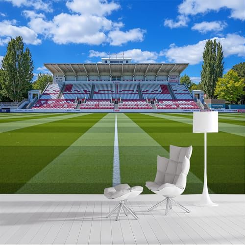Papel Pintado Salón Dormitorio Estadio De Londres, Fotomurales Panorámico Pared Póster De Tema Deportivo Decorativos Murales Grande Fotográfico Salón, 300x210cm