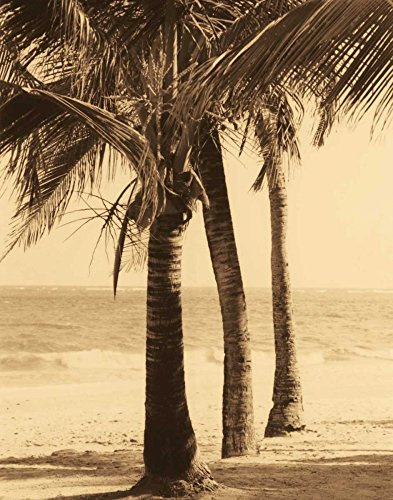 Feeling at home Lienzo-con-AMERICANO-BOX-Palm-Beach-II-Kelly-Dennis-Costa-Fine-Art-impresión-sobre marco de madera-Vertical-28x22_in