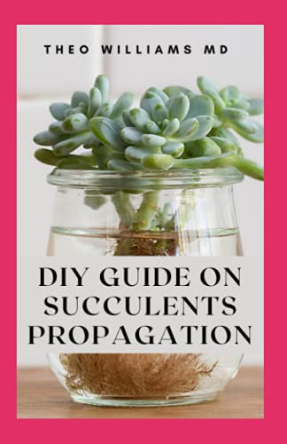 DIY GUIDE ON SUCCULENTS PROPAGATION: All You Need To Know About The Propagation Of Succulents In Garden