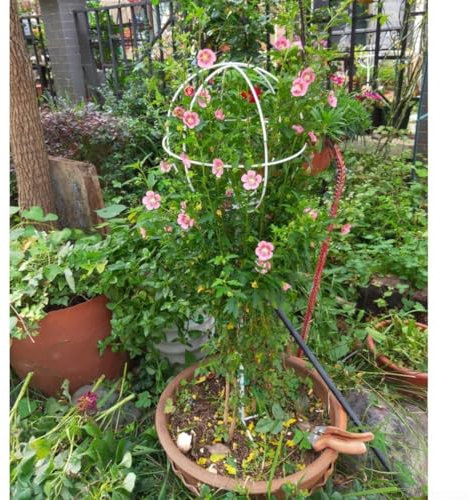 Bobine de fil de fer recouvert de plastique avec cutter pour support de plantes 50 m