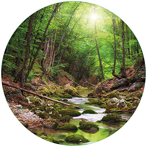 Wallario Glasbild rund Fluss im Wald - Rund, 50 cm Durchmesser Wandbild Glas in Premium-Qualität: Brillante Farben, freischwebende Optik