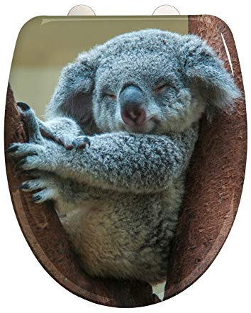 WENKO WC-Sitz Koala, hygienischer Toilettendeckel mit Absenkautomatik, Toilettensitz aus bruchsicherem, antibakteriellem Duroplast, Schnellbefestigung aus rostfreiem Edelstahl, 38 x 45 cm, Koala-Motiv