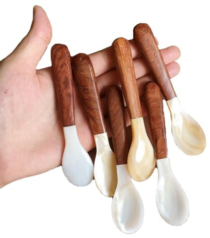 Wisafory 5 cucharas de nácar con mango redondo de madera, cucharas de caviar, cucharas de nácar, mini cucharas para tartas, hechas a mano, cucharas de hielo, cucharas de café, cucharas para caviar,