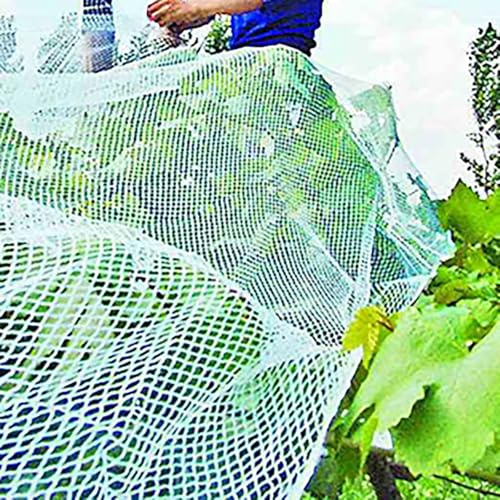 Koncey Hagelschutznetz, Gartennetze Gemüsenetz, Vogelnetze Vogelschutznetz, Pflanzenschutznetz, Atmungsaktiv, Für Terrasse Hochbeet Hoops Gemüse Obst Blumen Schutz(8x10 m)