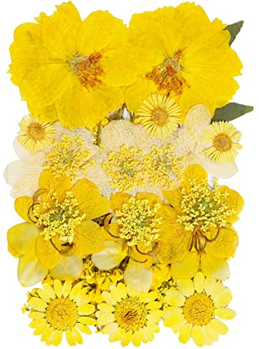 Fleurs séchées naturelles - Mélange de fleurs pressées multicolores - Mini rose et hortensia - Marguerite - Pour loisirs créatifs - Résine - Décoration florale - Jaune