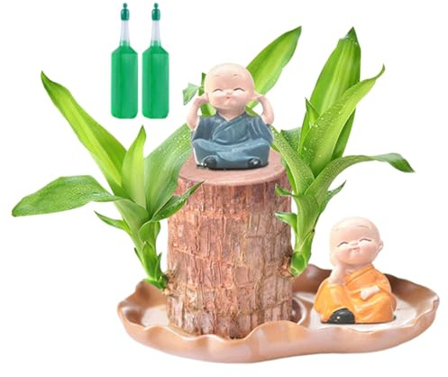 Brazilian Wood Plant - Hydroponic Potted Mini Stump, Purifying Indoor Air Brazilian Hydroponic Wood with Monk Statues, Bonsai Tree Indoor Plant, Nutrient Solution, Perfect for Home, Office