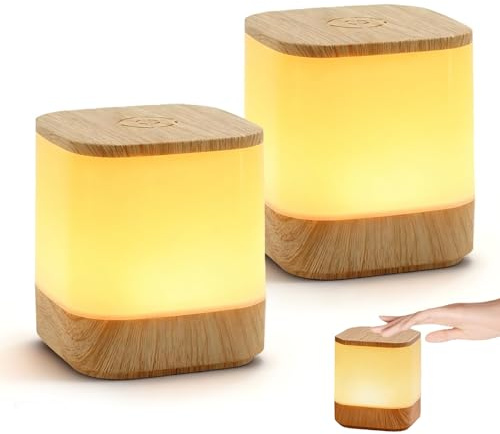 BORDEAG Lot de 2 lampes de chevet tactiles à intensité variable, lampe de table LED décorative pour le salon, lampes de table pour la chambre à coucher, pour la décoration de la chambre à coucher et