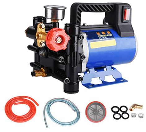 Generic Pompa a Stantuffo a Doppio Cilindro in Acciaio Inossidabile, Pompa Dell'acqua Ad Alta Pressione con Pressione e Interruttore per L'irrigazione del Giardino e il Lavaggio (60 V)