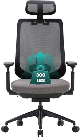 COLAMY Ergonomic Office Chair, High Back Office Executive Desk Chair, Mesh Office Chair Lumbar Support with Adjustable Headrest and 4D Arms, Slide Seat, Tilt Lock-Darkgrey