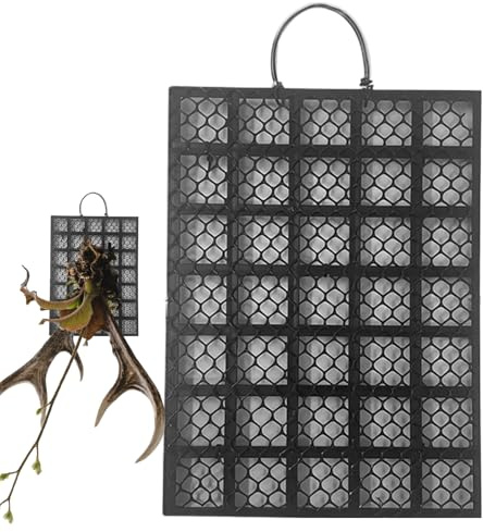 Palaufr Staghorn - Tabla de pared para helecho de , para balcón, terraza, salón, interior y exterior