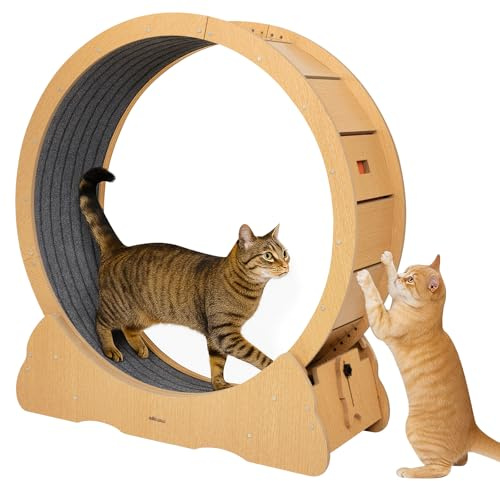 Cat Wheel, 43.3 XL Large Cats Exercise Wheel, Indoor Cat Treadmill for Bengal, British Shorthair & Other Active Breeds