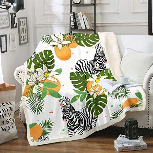 Loussiesd Zebra Fleece Throw Blanket Cartoon Zebra Printed Sherpa Blanket Tropical Palm Leaves Plush Blanket for Kids Boys Girls Animal Plants Fuzzy Blanket for Sofa Bed Couch Baby 30x40 Inch