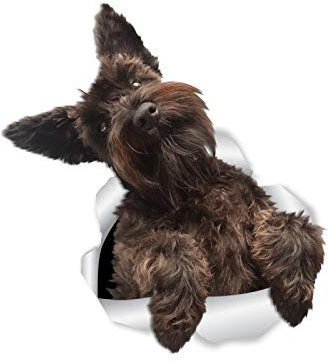 Wildebabsklbt 15 cm Hochwertiger Autoaufkleber Sticker Decal Aufkleber Riesen-Schnauzer Hund D742 3d-Effekt Rand Silber