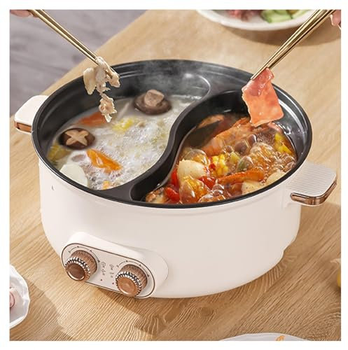 HJXBD888 Fondue Chinoise, Double Interrupteur de Commande Multi-Fonctions 1600 Watts Appareil Fondue Chinoise, Convient Aux Petites FêTes (avec 2 Filets Non éTanches),6.5L