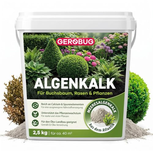 Gerobug Calcaire d'algues 2,5 kg – Régénération efficace pour les buis vulnérables