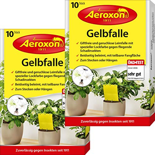 Aeroxon Trauermücken Gelbtafeln, 20 Stück Gelbsticker für Zimmerpflanzen | Giftfrei und geruchlos, bis zu 6 Monate wirksam gegen Trauermücken, Blattläuse, Thripse und weiße Fliegen
