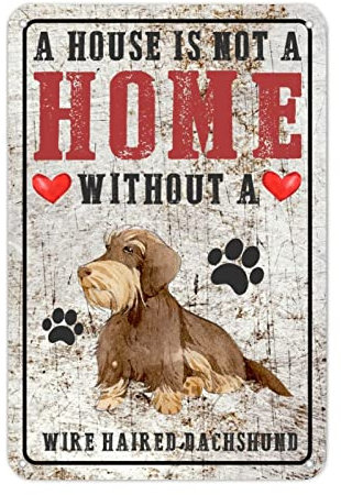 Wire Haired Dachshund Dog Metal Sign A House Is Not A Home Without A Dog Welcome Sign Dog Mom Shabby Chic Vintage Metal Wall Art Rustic Living Room Front Porch Garage Decor Indoor/Outdoor Use